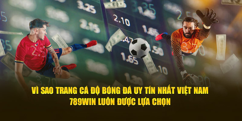 Vì sao trang cá độ bóng đá uy tín nhất Việt Nam 69vn luôn được lựa chọn 